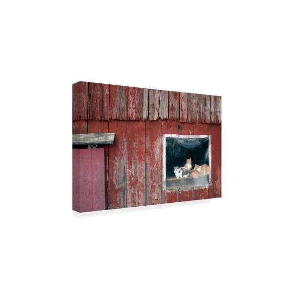 Matthew Platz 'Family Portrait Barn' Canvas Art,12x19